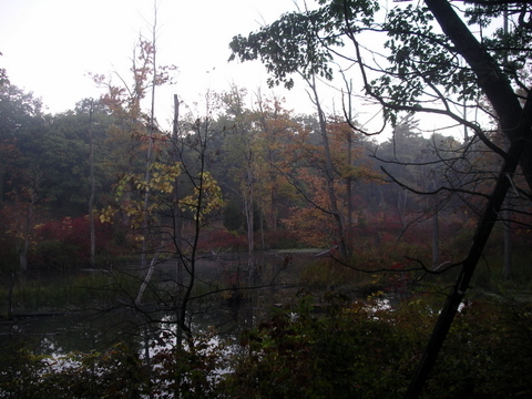 Campout Photo 25: Bottomlands