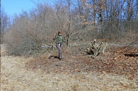Stony Creek Metropark